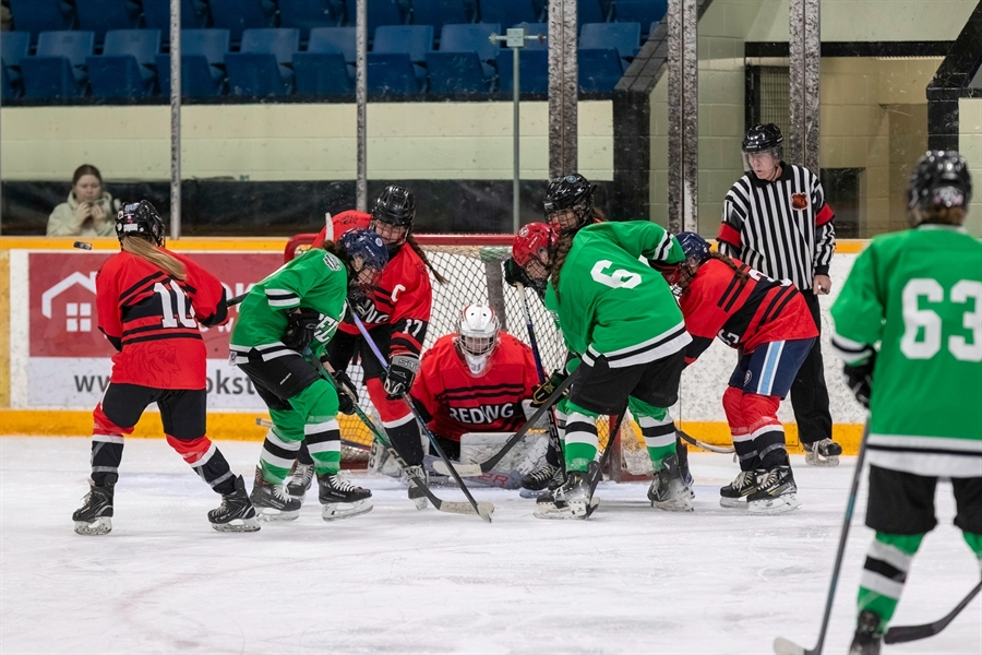 BR hockey BR hockey